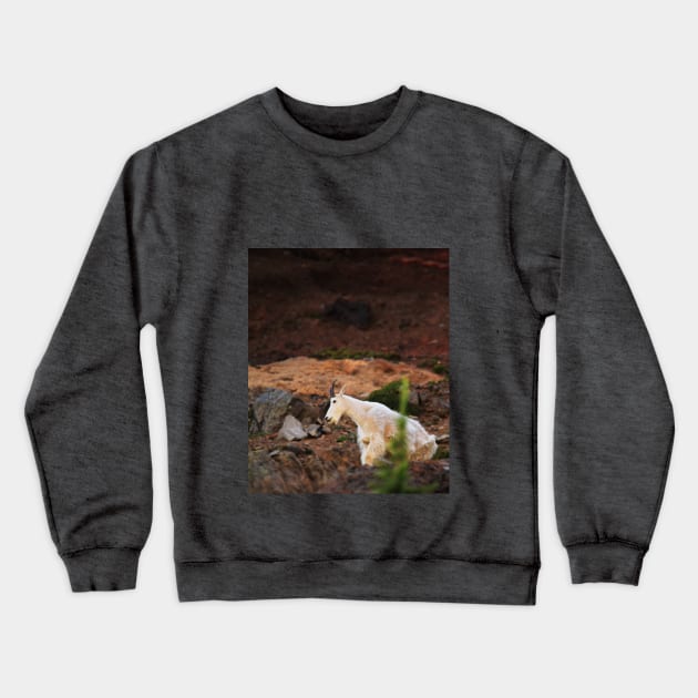 Majestic Mountain Goat Crewneck Sweatshirt by Oregon Art Shop